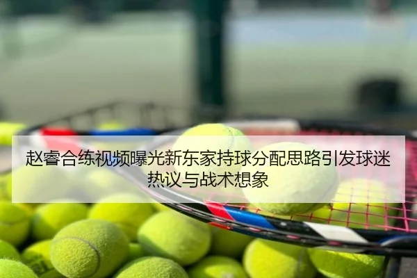赵睿合练视频曝光新东家持球分配思路引发球迷热议与战术想象