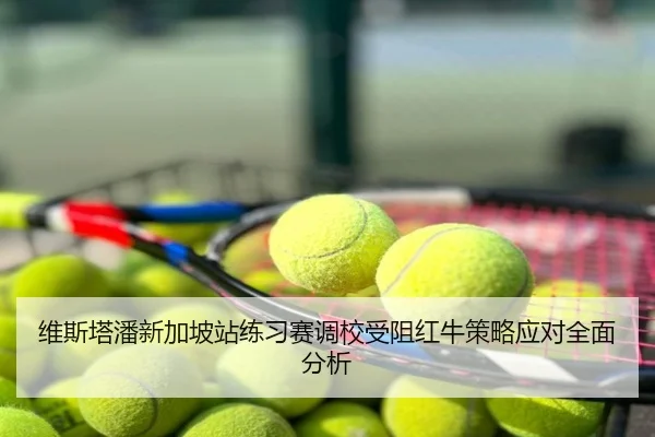 维斯塔潘新加坡站练习赛调校受阻红牛策略应对全面分析